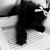 ayss_15939