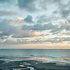 ali_482161