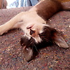 saida_96449