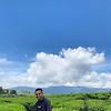 basil_60232