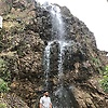ali_74722