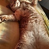 bialima_86135