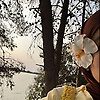 sumx_45091