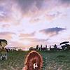 sunshine_75377