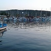 dnzus