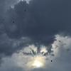 jasmina_72863