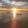 bela_82699