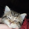 jacob_87756