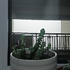 ju_84491