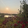 laylalisoy_1203