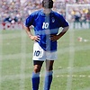 Anas_2008