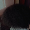 leilani_59833