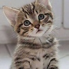 jenny_71572