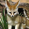 margarita_36709
