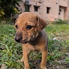 agraadithy_50323