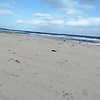 alex_71531