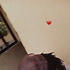 adam_19406