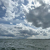 chitra_71224
