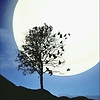 mohammmad_82544