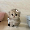 yuna_83863