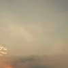 alex_56696
