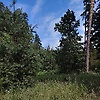 user_506751