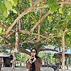 iyan_93942
