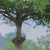 alex_46018