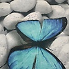 faisal_22135