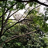 aarthi_73075