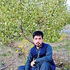 jawed_30533