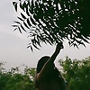 rudrakshi_27447