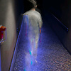 ro_94580
