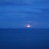 anouar_59399