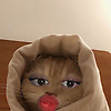 nina_51985