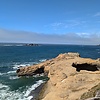 alexei_89333