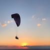 carpe_92820