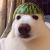 Marco_6828