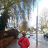 aron_45609