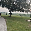 Aly_192