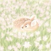 asmaa_54497