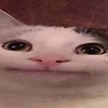 Chiiki_Briki