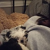 Abigail_gabby