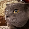 user_184380