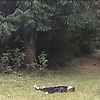 Donnie_darko77
