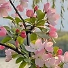 simran_45136