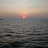 alinelessa