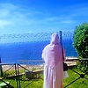 chacha_bel