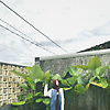 aghnia_28899