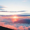dina_72638